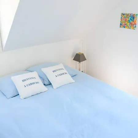 La Maison Bleue Tatil Evi Cabourg